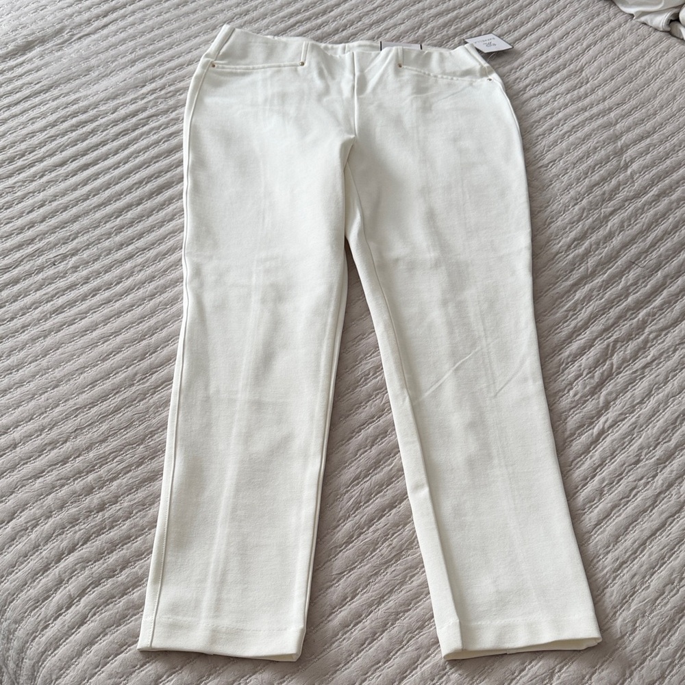 RAFAELLA Slim Leg Cream Knit Pull On Pants NWT Sz 8 - Great Styling
